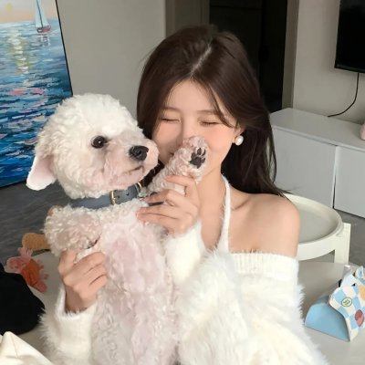 出租什么都不做的人海报