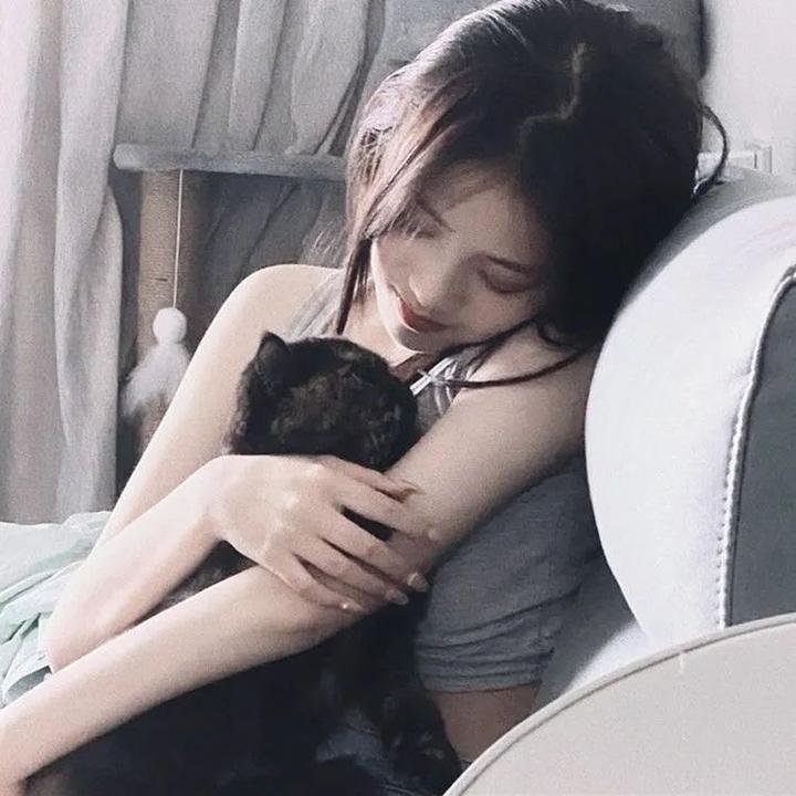 法官老张轶事之别动感情海报